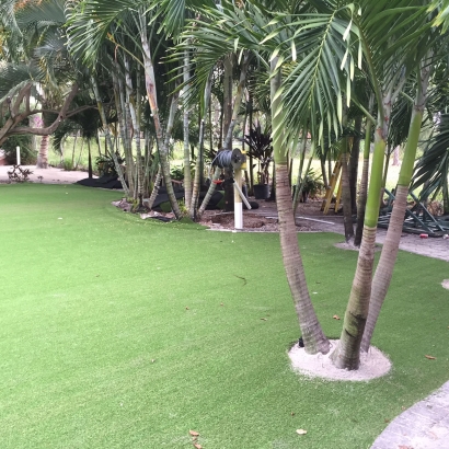 Synthetic Turf Supplier Appomattox, Virginia Design Ideas, Commercial Landscape