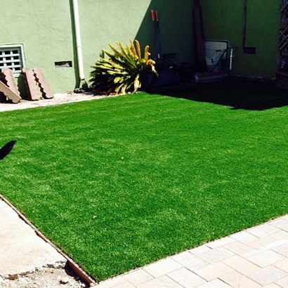 Synthetic Turf Supplier Villa Heights, Virginia Landscape Ideas, Backyard