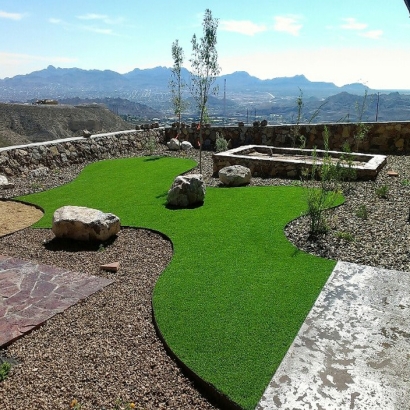 Turf Grass Ruckersville, Virginia Dog Pound, Backyard Ideas