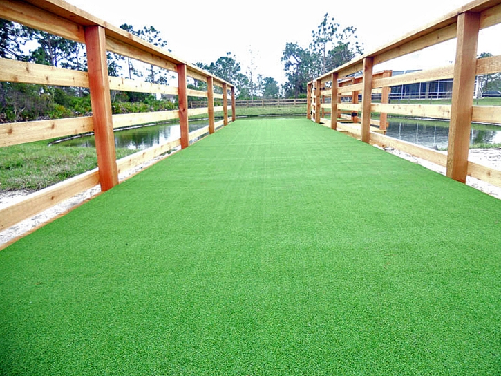 Artificial Grass Carpet Augusta Springs, Virginia Lawns, Commercial Landscape