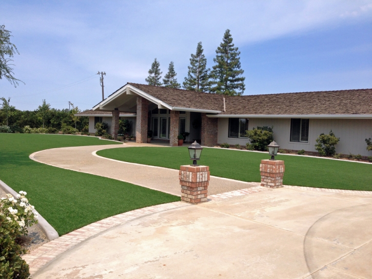 Artificial Grass Carpet Chincoteague, Virginia Lawn And Landscape, Front Yard Landscaping