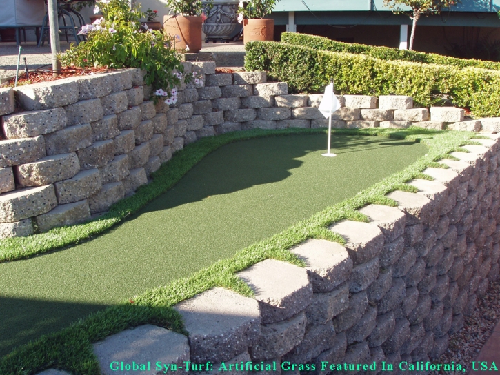 Artificial Grass Carpet Newport News, Virginia Home And Garden, Backyard Ideas