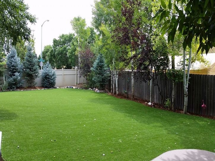 Artificial Grass Carpet North Springfield, Virginia Lawn And Garden, Backyard Landscaping Ideas