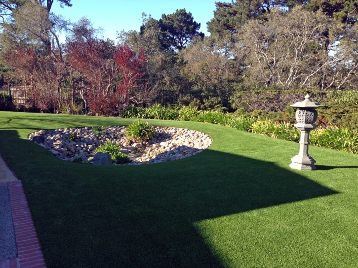 Artificial Grass Carpet Sterling, Virginia Gardeners, Backyard