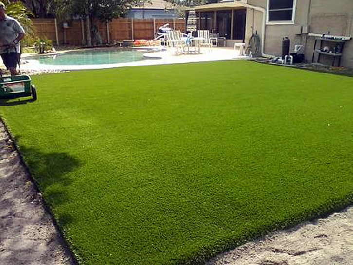 Artificial Grass Carpet Wise, Virginia Lawn And Garden, Backyard Landscape Ideas