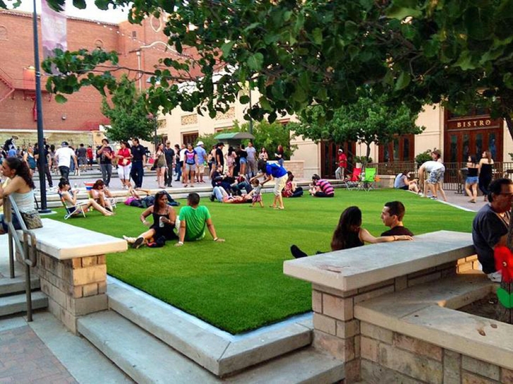 Artificial Grass Crimora, Virginia Roof Top, Commercial Landscape