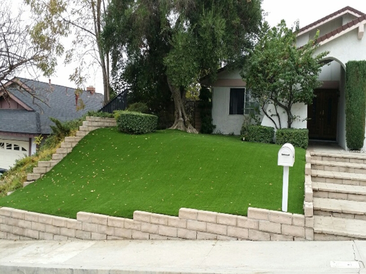 Artificial Grass Installation Ivanhoe, Virginia Home And Garden, Front Yard Ideas