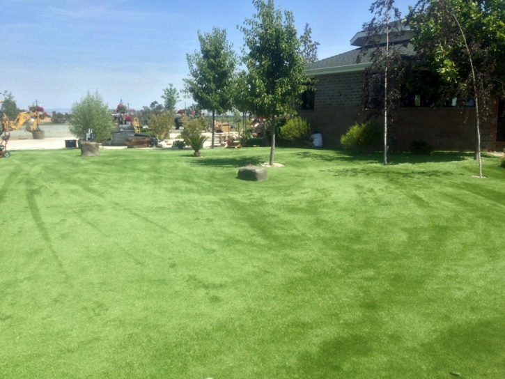 Artificial Grass Installation Sandston, Virginia Cat Grass, Recreational Areas