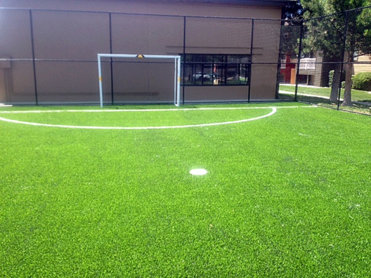 Artificial Grass Portsmouth Heights, Virginia Red Turf