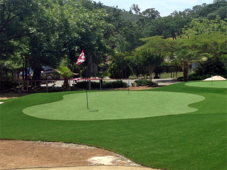 Artificial Grass Richlands, Virginia Landscape Rock, Small Front Yard Landscaping