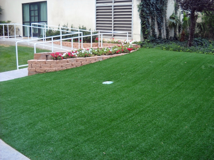 Artificial Lawn Lincolnia, Virginia Putting Green Turf, Front Yard Design