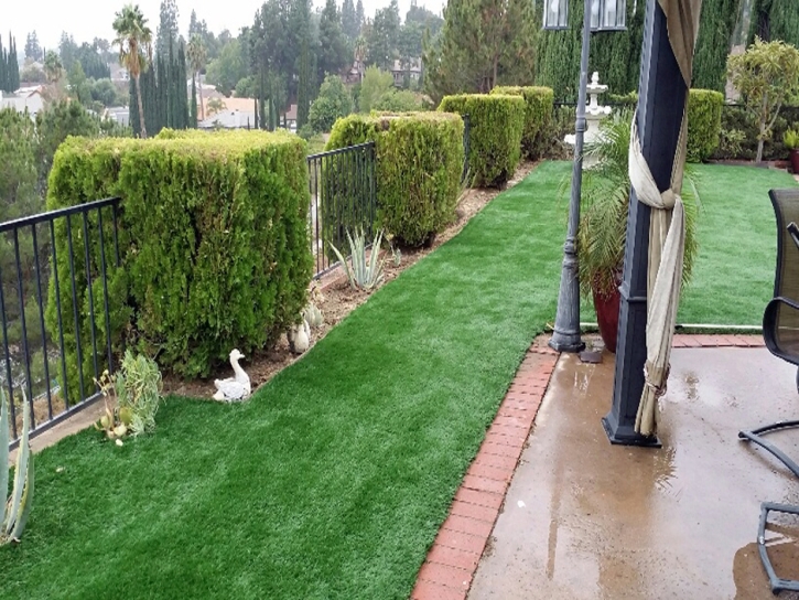 Artificial Lawn Round Hill, Virginia Landscape Design, Backyard Landscaping Ideas