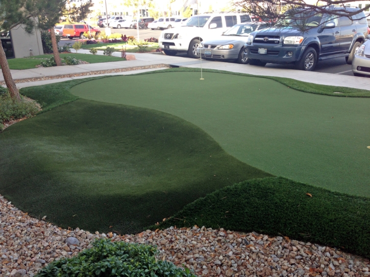 Artificial Lawn Stony Creek, Virginia City Landscape, Commercial Landscape