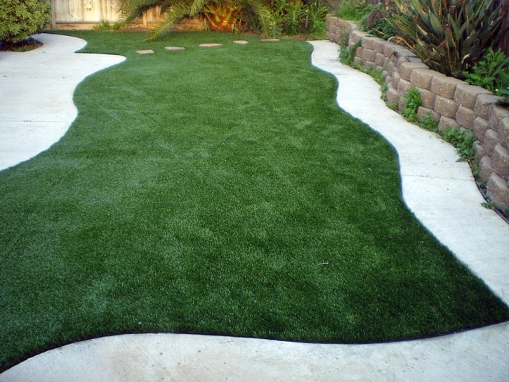 How To Install Artificial Grass Hot Springs, Virginia Design Ideas, Parks
