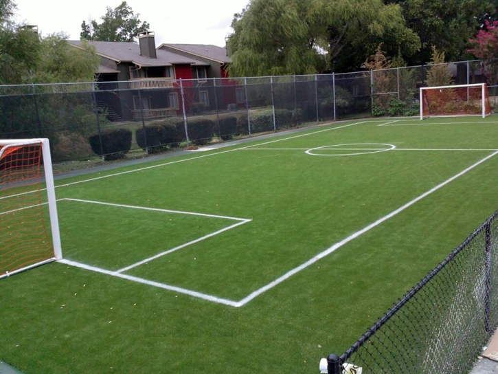 Artificial Turf Cost Belmont, Virginia Backyard Sports, Commercial Landscape