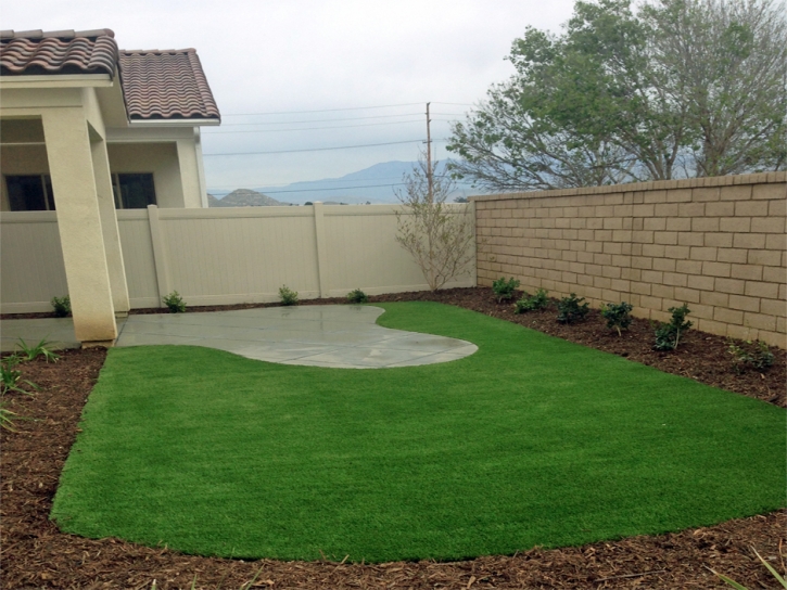 Artificial Turf Cost Cloverdale, Virginia Rooftop, Backyard