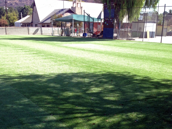 Artificial Turf Cost Modest Town, Virginia Gardeners, Recreational Areas