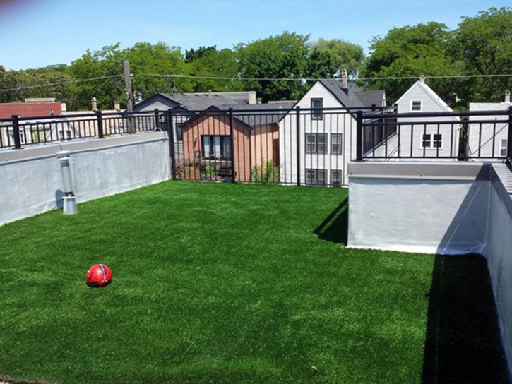 Artificial Turf Cost Montrose, Virginia Artificial Grass For Dogs, Deck