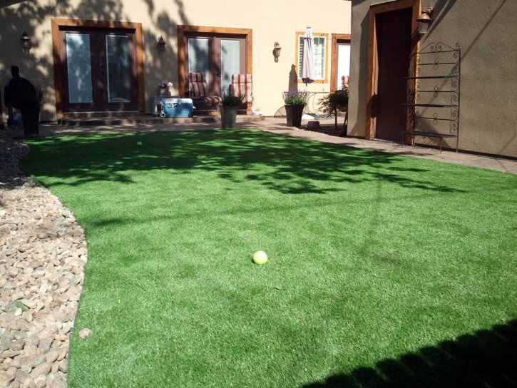 Best Artificial Grass Dayton, Virginia Watch Dogs, Backyard Landscaping Ideas