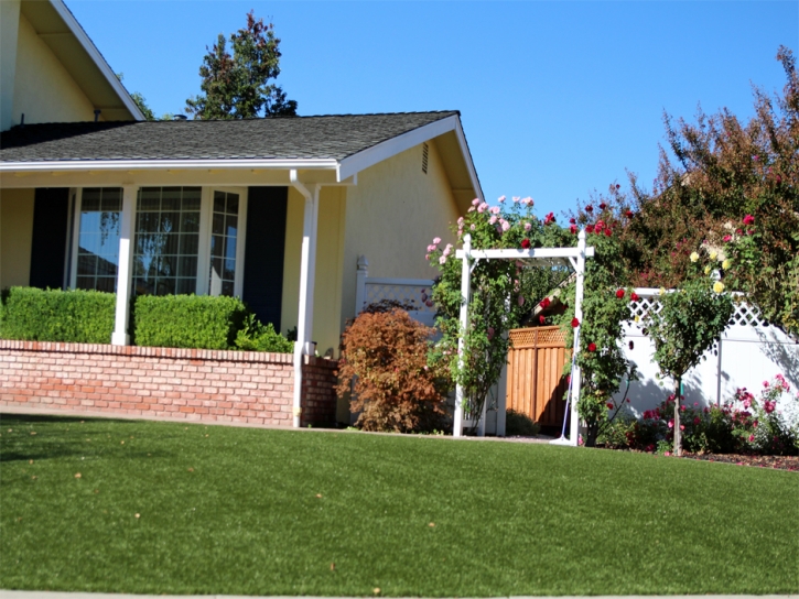 Artificial Turf Esmont, Virginia Landscape Rock, Front Yard Ideas