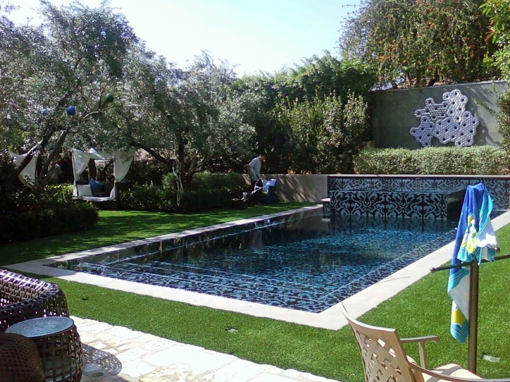 Artificial Turf Horntown, Virginia Landscaping Business, Natural Swimming Pools