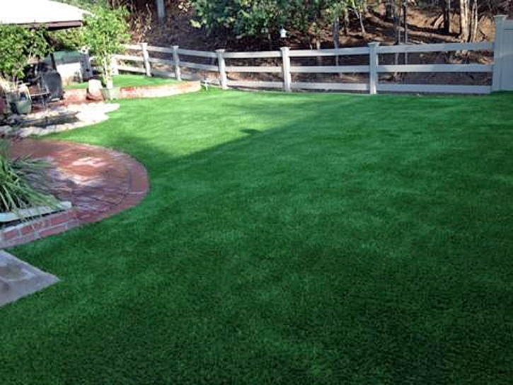 Artificial Turf Installation Chester, Virginia Artificial Turf For Dogs, Backyard Landscape Ideas