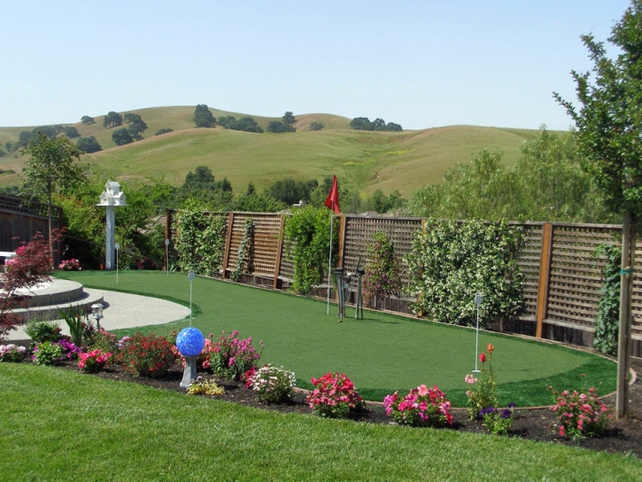 Artificial Turf Installation Great Falls, Virginia Design Ideas, Backyard Landscape Ideas