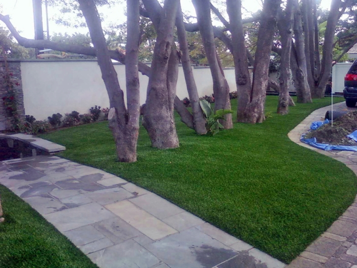 Artificial Turf Installation La Crosse, Virginia City Landscape, Front Yard
