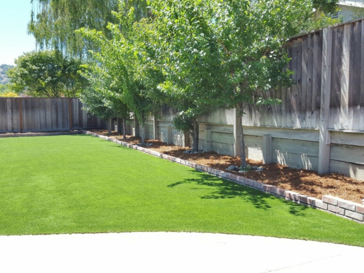 Artificial Turf Installation Springville, Virginia Backyard Playground, Beautiful Backyards