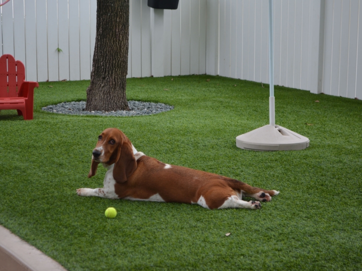 Artificial Turf Installation Warsaw, Virginia Dog Running, Dog Kennels