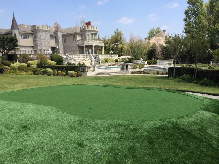 Artificial Turf Linton Hall, Virginia Putting Green Turf, Front Yard Landscaping Ideas
