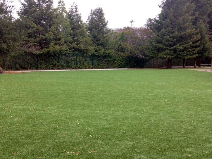 Synthetic Grass Cost New Hope, Virginia Backyard Playground, Landscaping Ideas For Front Yard