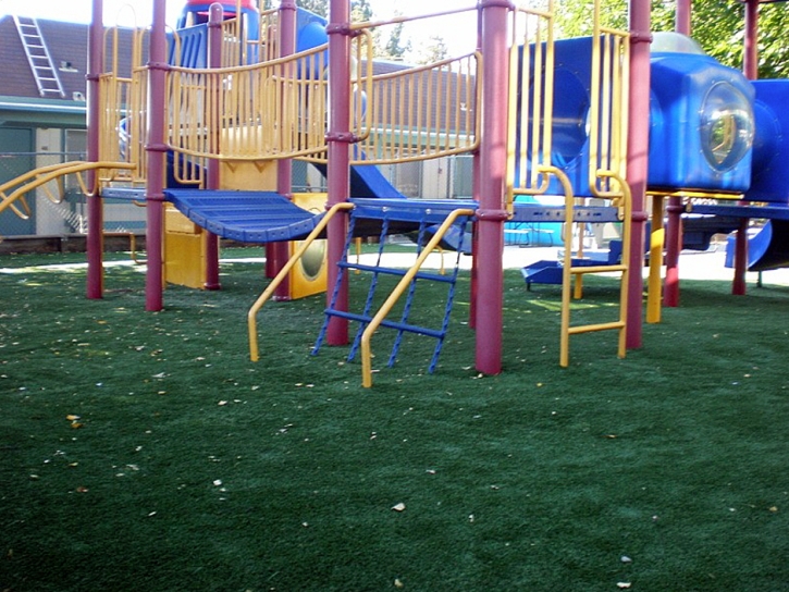 Artificial Turf Mount Vernon, Virginia Indoor Playground, Commercial Landscape