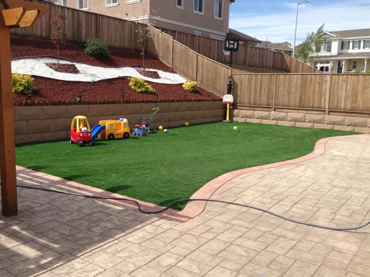 Artificial Turf Oak Grove, Virginia Lacrosse Playground, Backyard Design