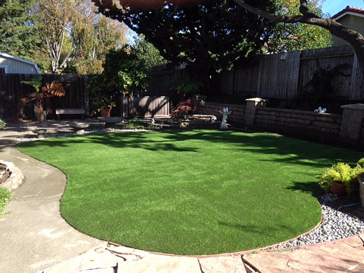 Best Artificial Grass Chesterfield Court House, Virginia Paver Patio, Backyard Landscaping