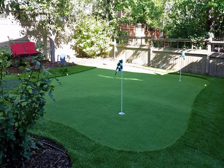 Best Artificial Grass Crozet, Virginia Landscaping, Backyards