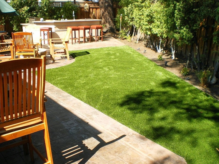 Best Artificial Grass Dunn Loring, Virginia Garden Ideas, Backyard Ideas