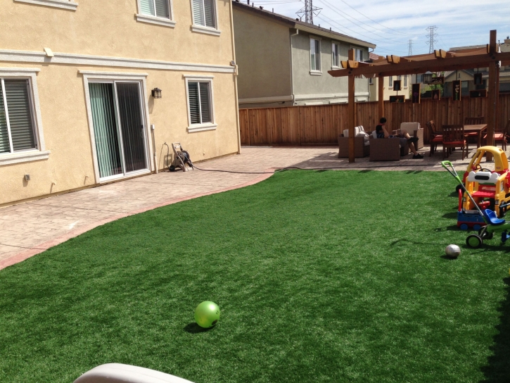 Best Artificial Grass Exmore, Virginia Backyard Deck Ideas, Backyards