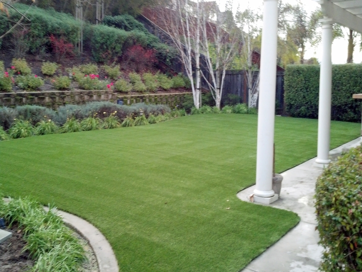 Best Artificial Grass Springville, Virginia Design Ideas, Backyard Landscaping