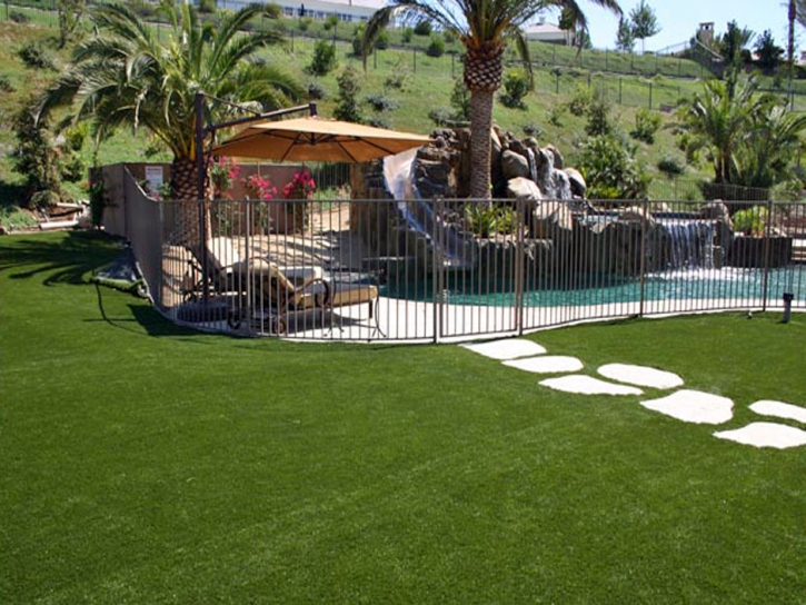 Artificial Turf Cost Timberlake, Virginia Pet Grass, Dogs Runs