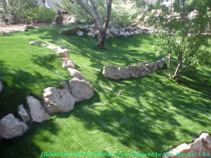 Fake Grass Alexandria, Virginia Backyard Playground, Commercial Landscape