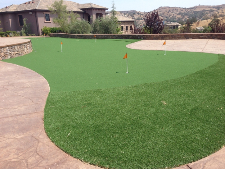 Fake Grass Blue Ridge, Virginia Putting Green Turf