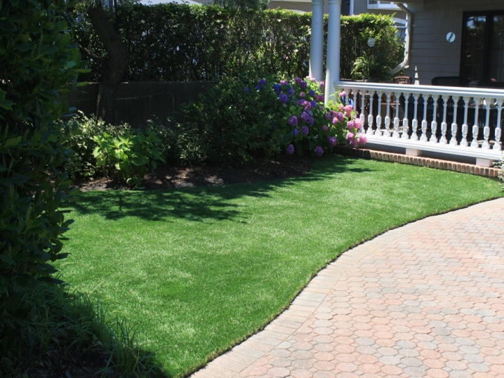 Fake Grass Carpet Boones Mill, Virginia Hotel For Dogs, Landscaping Ideas For Front Yard