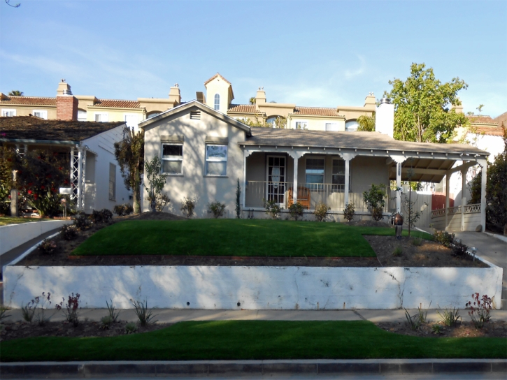 Fake Grass Carpet Motley, Virginia Gardeners, Front Yard Landscape Ideas