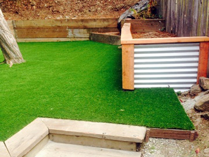 Fake Grass Carpet Oak Level, Virginia Roof Top, Backyards
