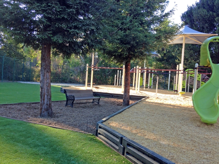 Fake Grass Carpet Surry, Virginia Playground Turf