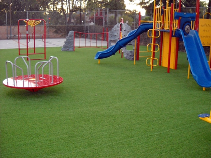 Fake Grass Carpet York Haven Anchorage, Virginia City Landscape, Recreational Areas