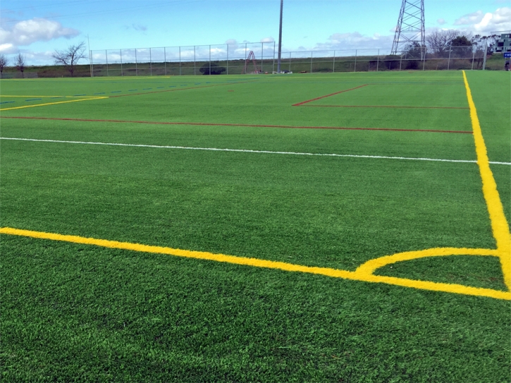 Fake Grass Hayfield, Virginia Red Turf