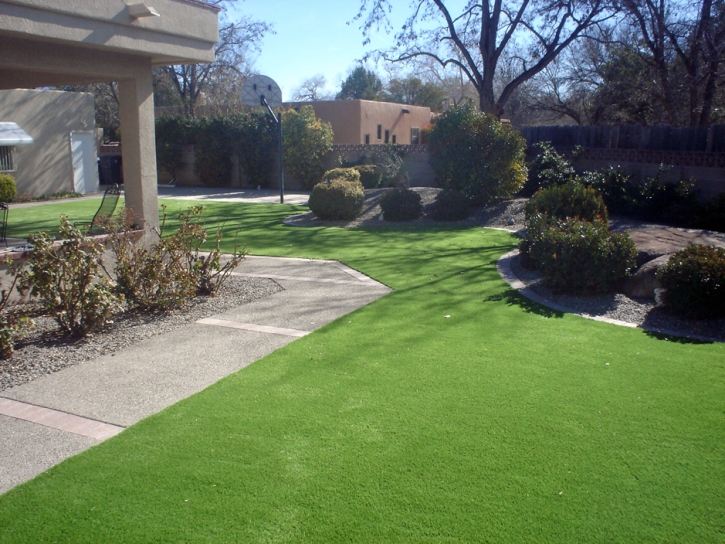 Green Lawn Staunton, Virginia Cat Grass, Small Backyard Ideas