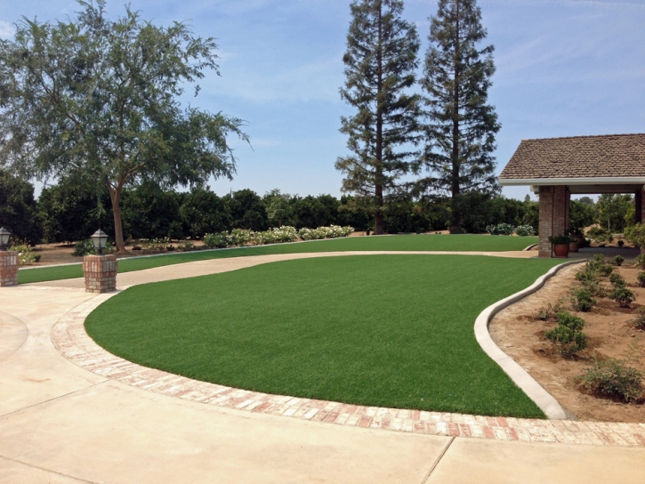 Artificial Grass Installation Greenville, Virginia Gardeners, Backyard Garden Ideas